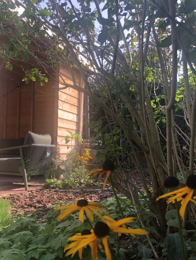 Natuurlijke tuin met overkapping